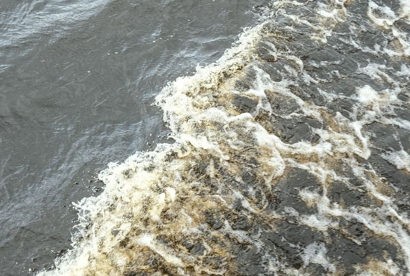 Состояние уровня воды в реках на Кубани не превышает критических отметок