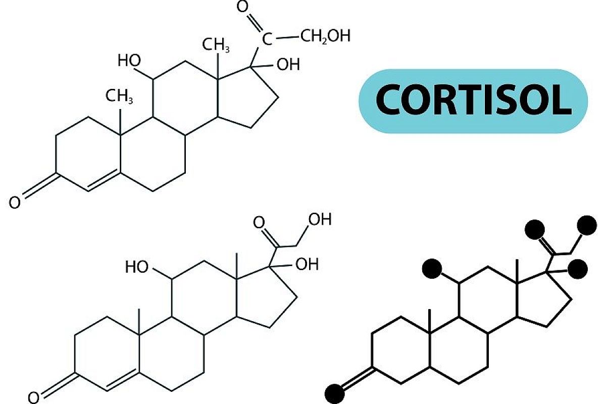 У вас «кортизоловое лицо»? Разобрался в вопросе токсиколог