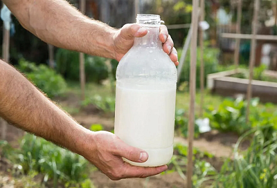 Сода, мыло, аспирин и масло: домашний эффективный фунгицид без химии