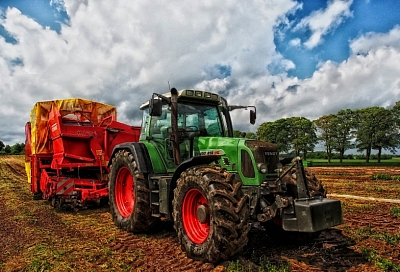 Растет число малых и средних аграрных предприятий,  экспортирующих свою продукцию за рубеж
