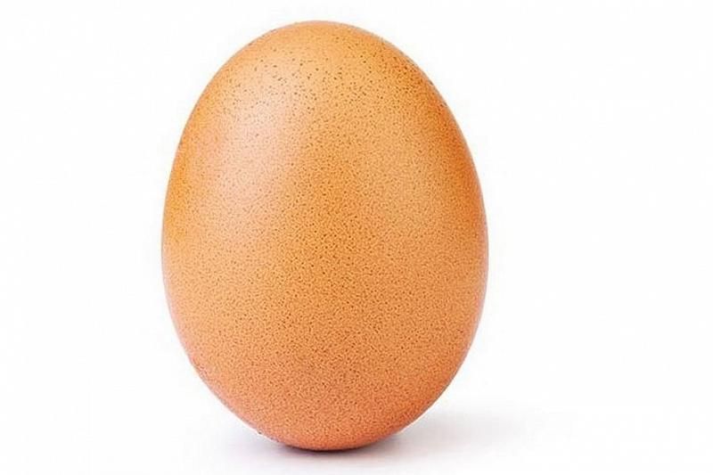 Самой популярной в Instagram стала фотография куриного яйца
