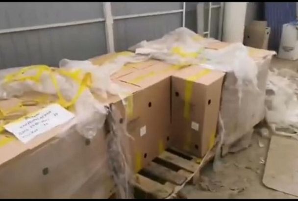 Полицейские изъяли в Анапе более 1 тыс. литров пива без документов