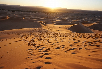 Сахара может обеспечить энергией всю планету, заявляют ученые