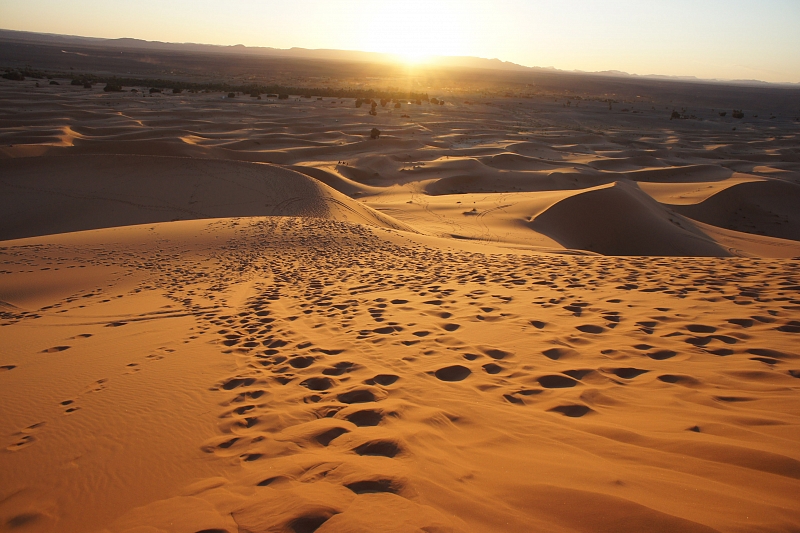 Сахара может обеспечить энергией всю планету, заявляют ученые