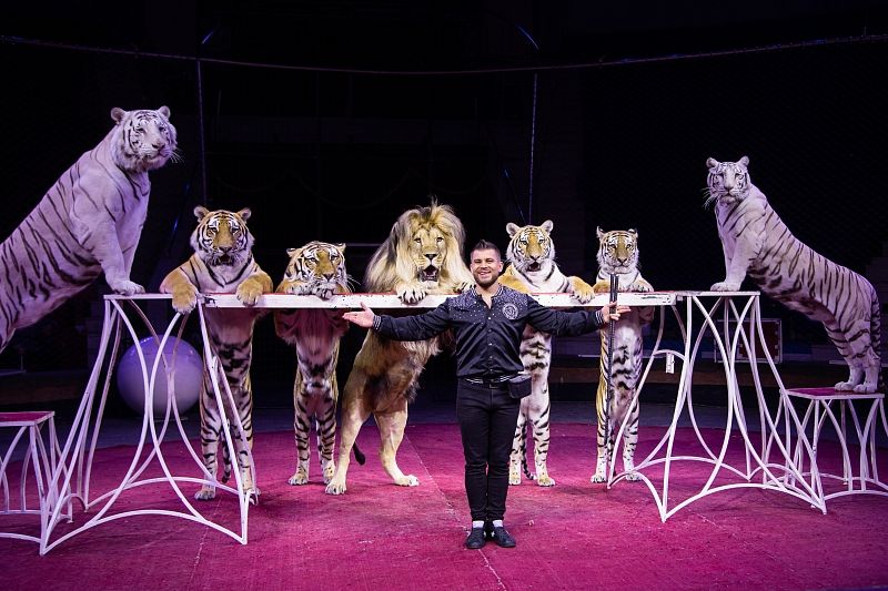 В Краснодарском государственном цирке стартовало праздничное шоу «Новогодняя Феерия»