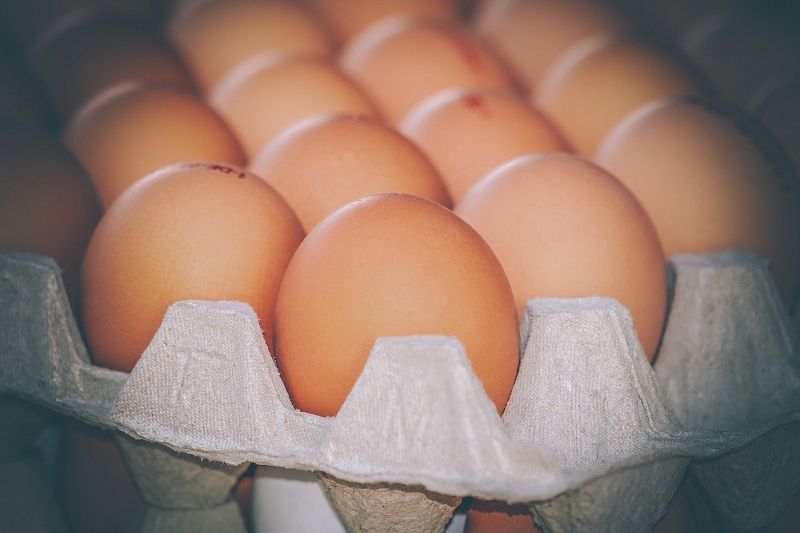 Россиян предупредили о подорожании яиц и курицы