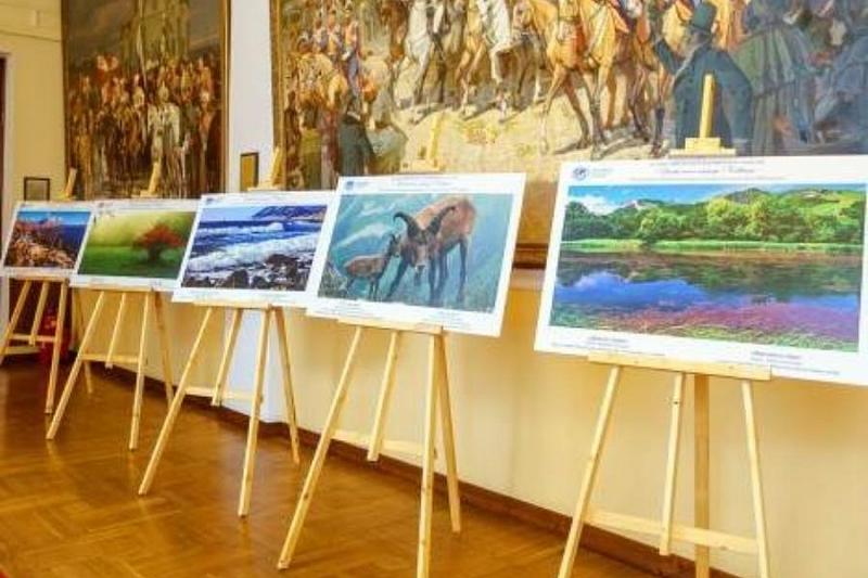 В Новороссийске пройдет выставка Русского географического общества «Уникальная природа Кавказа»