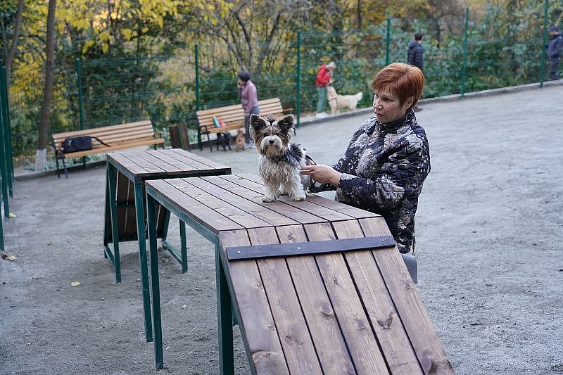 На курорте открылась первая специализированная площадка для выгула собак