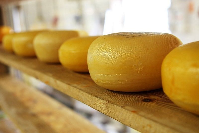 В России уменьшилось производство заменителей сыра 