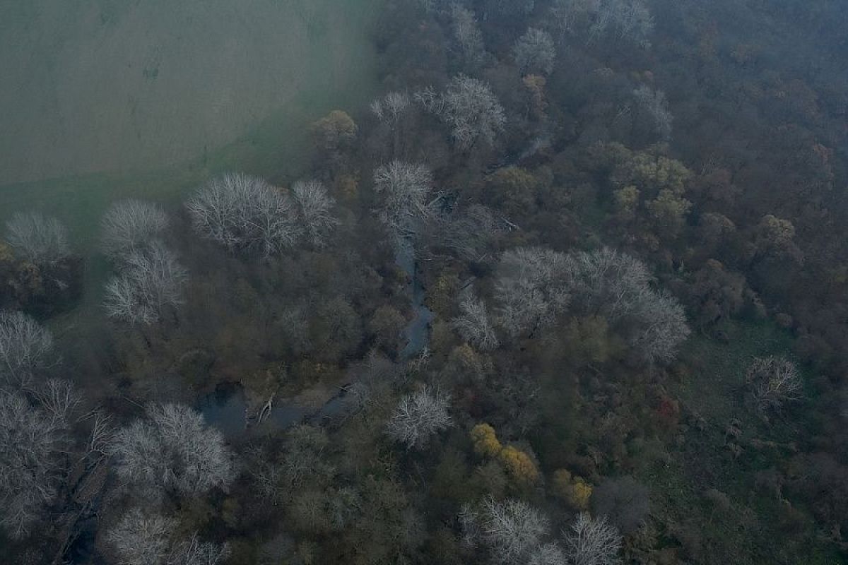 В Краснодарском крае въезды в лесные массивы патрулируют более 360 человек