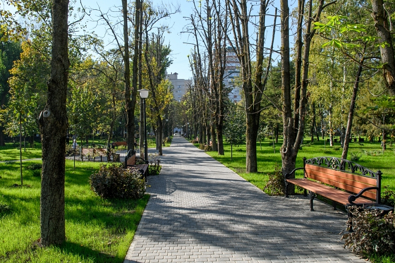 Более 94 тыс. жителей Краснодара проголосовали за благоустройство парков и скверов