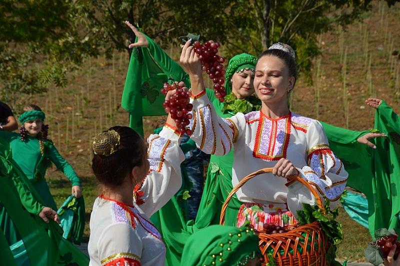 Фестиваль вина «Малый Дионис» собрал в Краснодарском крае 10 тысяч человек