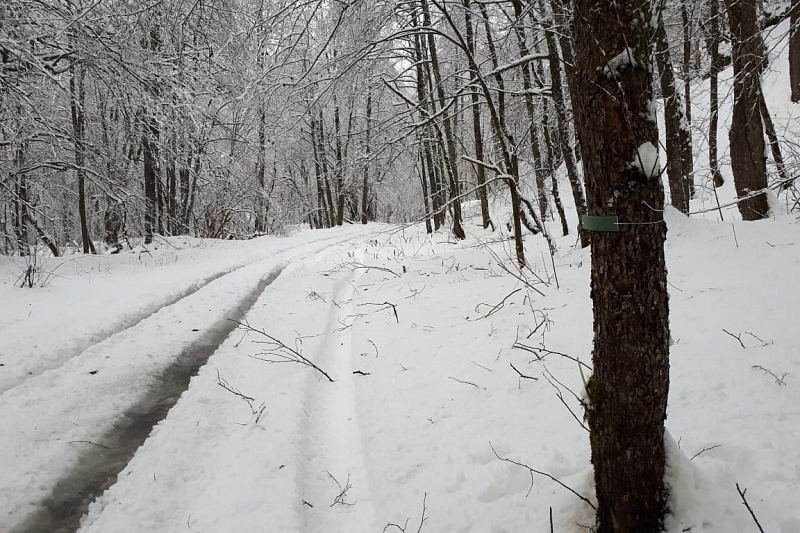 «Снежный» маршрут открылся в Сочинском нацпарке