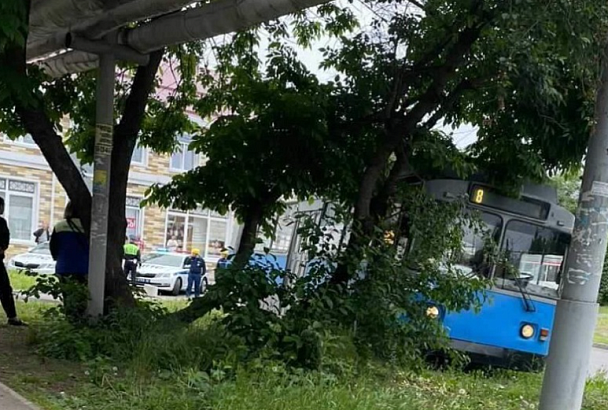 Сбивший насмерть 15-летнюю школьницу водитель троллейбуса осужден в Краснодаре