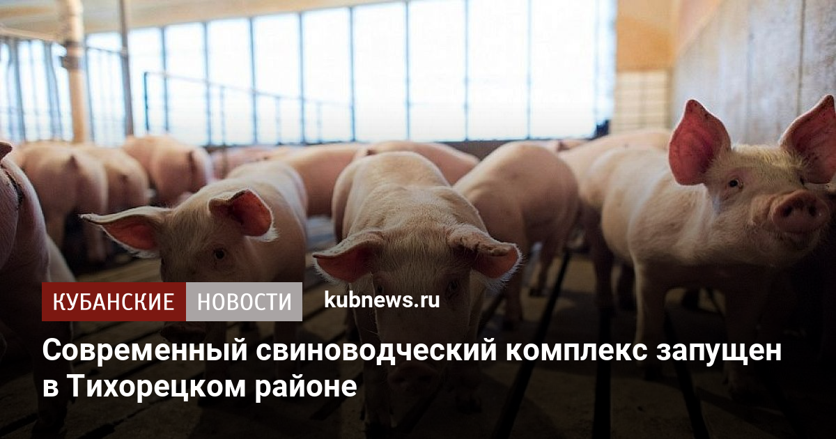 Усольский свинокомплекс фото продукции