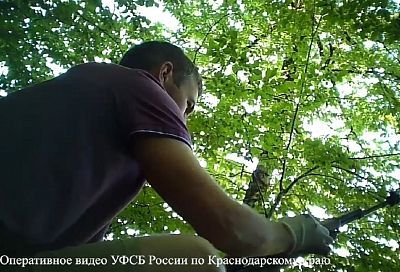 Сочинец осужден на 6 лет за незаконное хранение и сбыт огнестрельного оружия