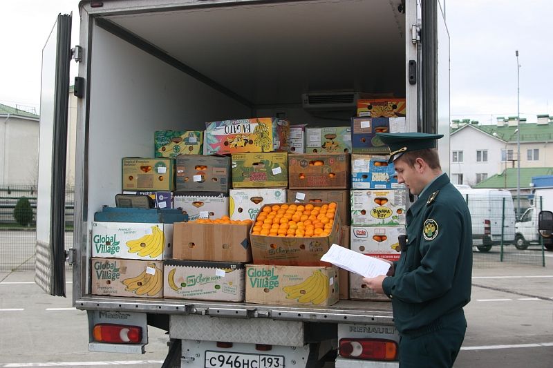 Более 35 тыс. тонн мандаринов ввезли в Краснодарский край из Абхазии