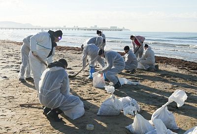 Около 30 тыс. тонн песка с мазутом собрано на побережье Краснодарского края