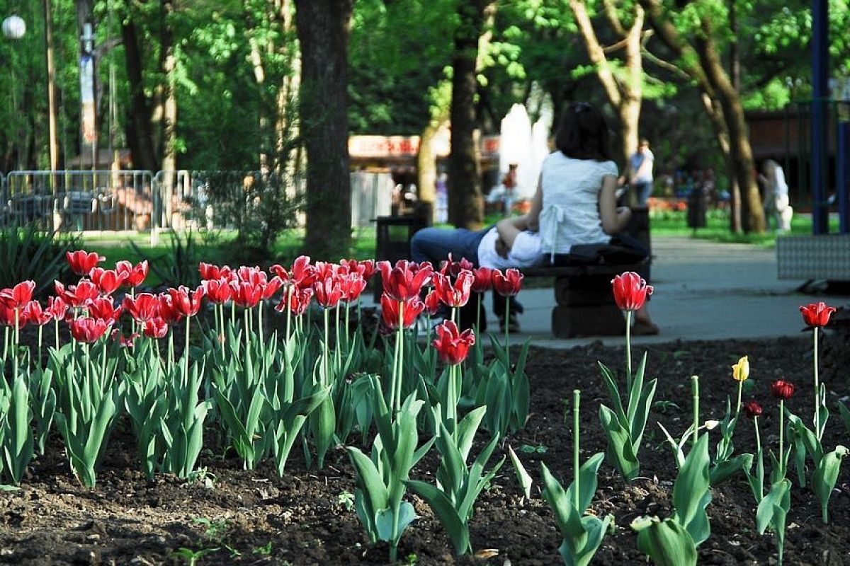 В Красноармейском районе два парка благоустроят в рамках нацпроекта