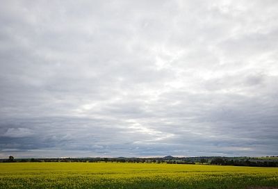 Над Краснодарским краем и другими регионами России сбили 397 БПЛА