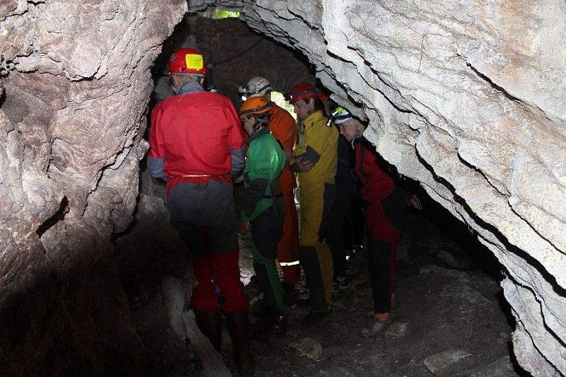 Посещение пещер на Кубани после открытия новых видов вирусов у летучих мышей не запретили