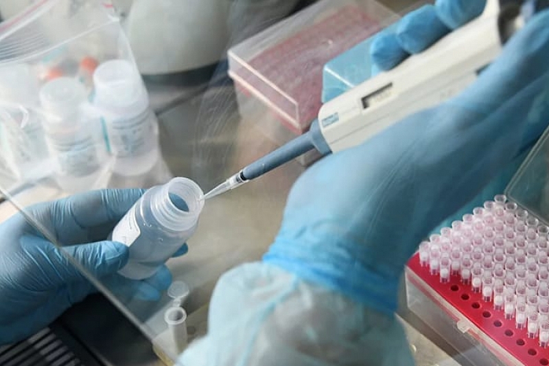 Ученые из Краснодарского края разработали нанонити для сдерживания коронавируса