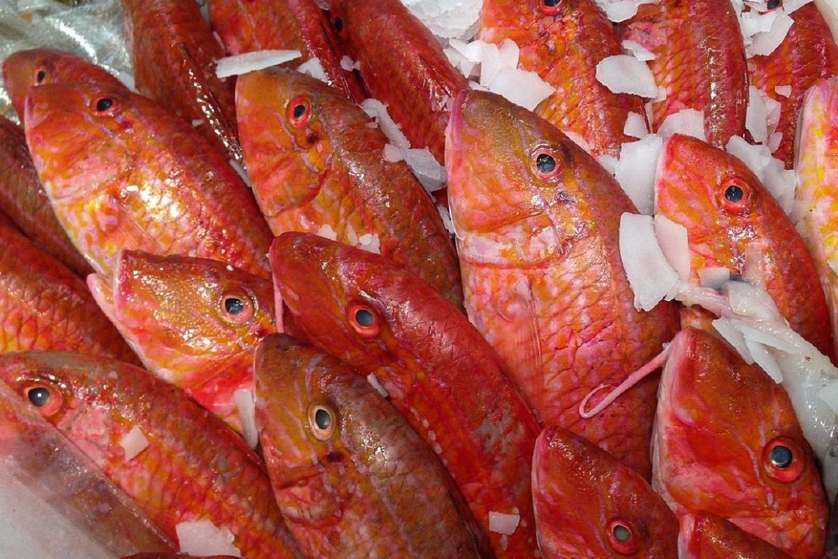 И нежданным гостям всегда рада, потому что в морозилке всегда есть морской окунь - шикарный ужин будет готов за полчаса