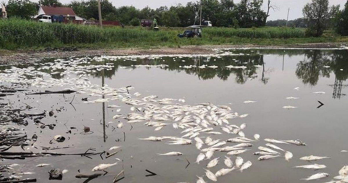 видео рыбалка на днестре черновицкая область