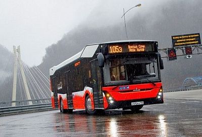 В Сочи увеличат количество «Ласточек» и автобусов на новогодние праздники