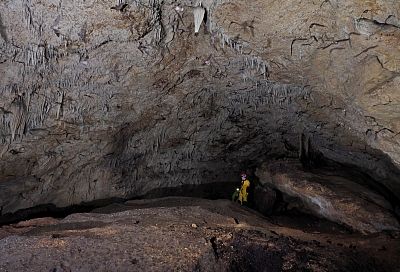 Пещеру с огромной колонией краснокнижных летучих мышей обнаружили спелеологи на Кубани