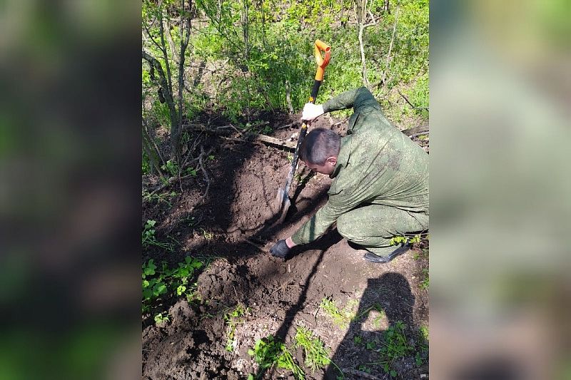 Мужчина убил знакомого, расчленил его тело и закопал в лесополосе в Краснодаре