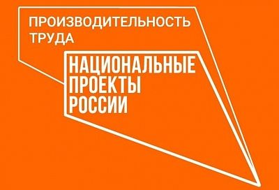 Региональный этап конкурса «Лучшие практики наставничества» запустили в Краснодарском крае