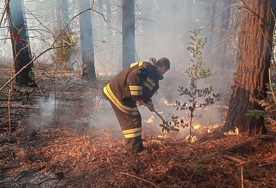 В Краснодарском крае действуют два природных пожара