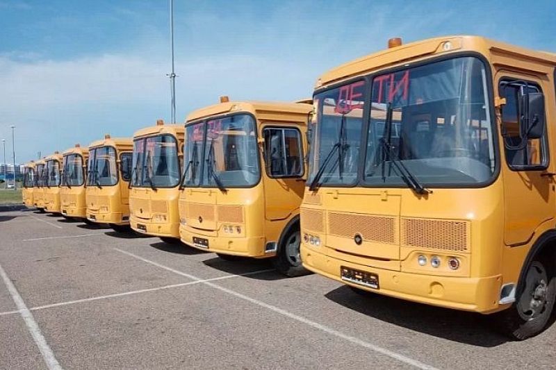 Правительство России выделит средства на покупку школьных автобусов и машин скорой помощи