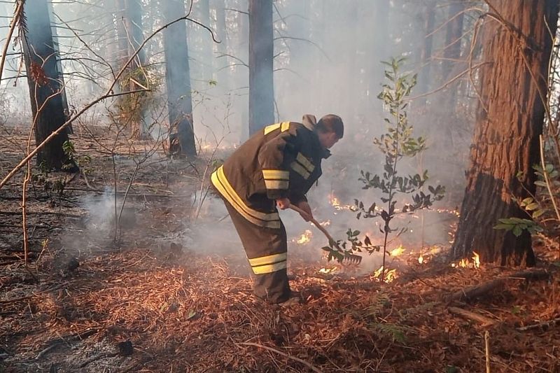 В Краснодарском крае действуют два природных пожара