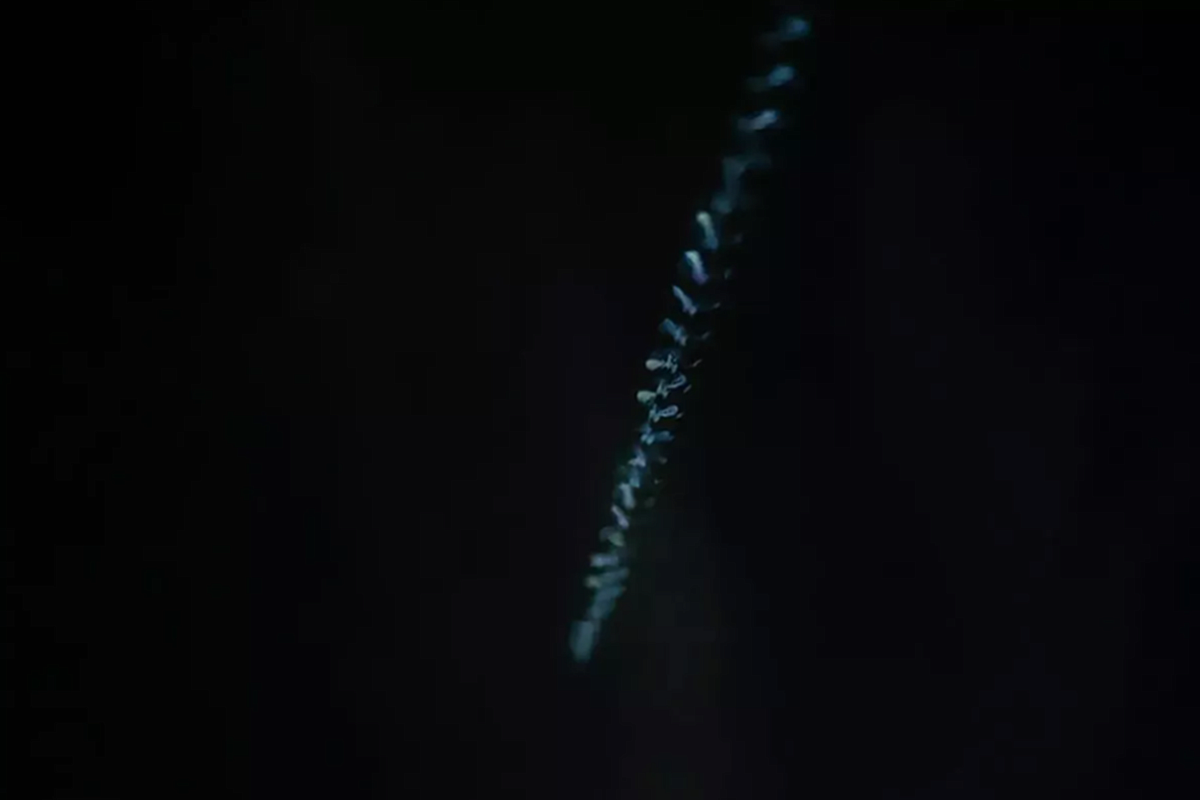 Более 50 беспилотников ВСУ уничтожены за ночь над регионами России