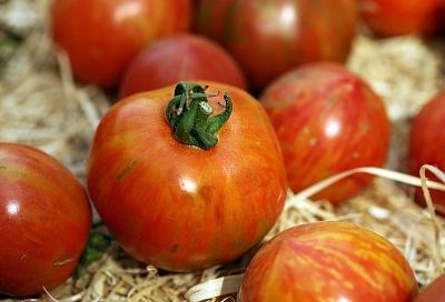 Всего 1 столовая ложка, и томаты начнут рожать тоннами
