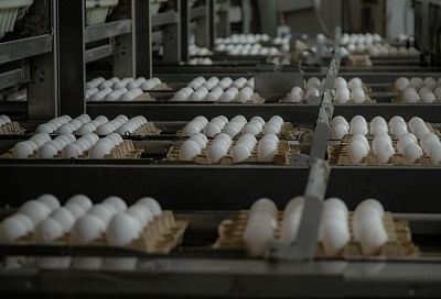 На Кубани цены на куриные яйца останутся стабильными перед Пасхой 