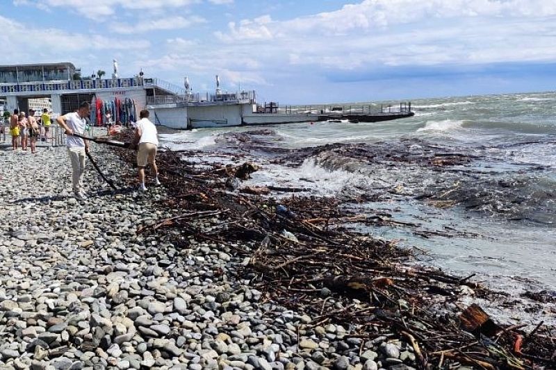 Сочинские пляжи убирают от мусора более 400 человек