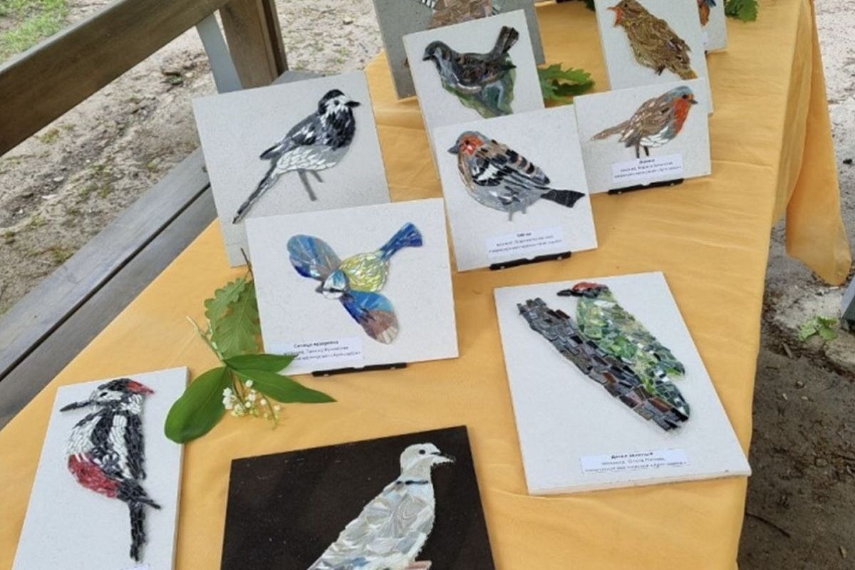 Мозаичных птиц поселят на Тропе здоровья в Горячем Ключе