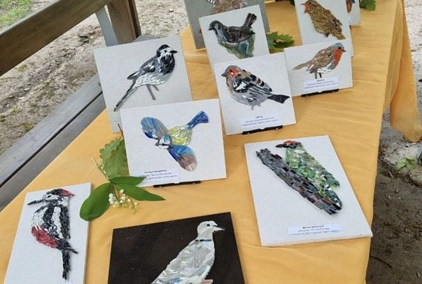 Мозаичных птиц поселят на Тропе здоровья в Горячем Ключе