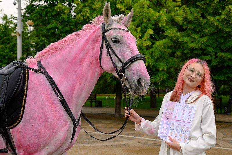 В Краснодаре активисты покрасили лошадь, чтобы привлечь внимание к проблеме рака