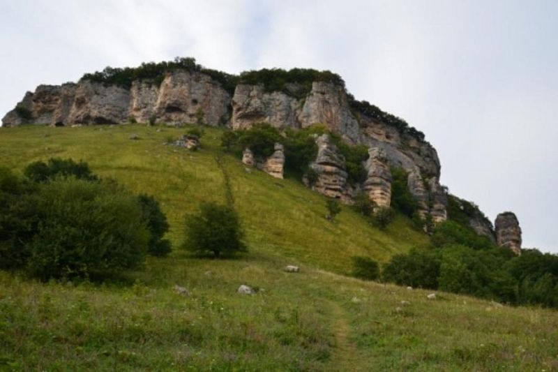 Площадь особо охраняемых природных территорий Краснодарского края увеличили на 2,5 тысячи гектаров