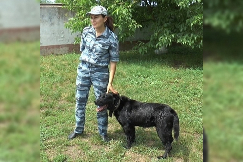 В Адыгее служебная собака помогла полицейским изъять крупную партию наркотиков