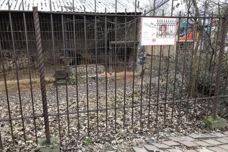 Краснодарцы требуют закрыть «Сафари-парк» из-за жестокого обращения с животными 