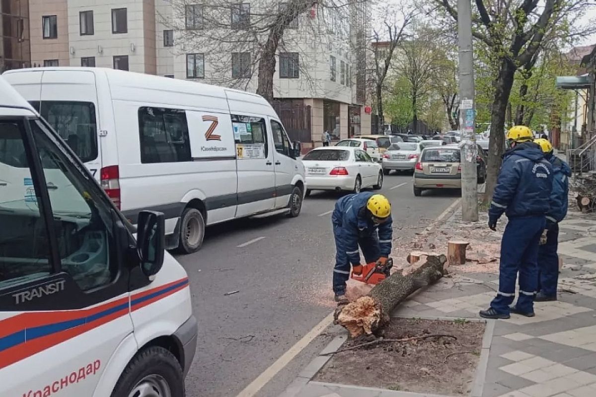 С улиц Краснодара убрали поваленные ветром деревья