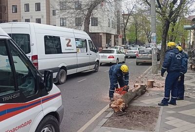 С улиц Краснодара убрали поваленные ветром деревья