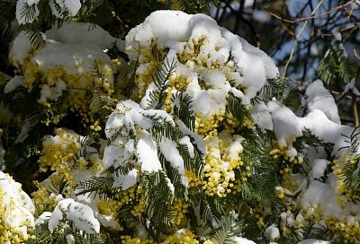 Налипание мокрого снега прогнозируется в предгорьях Сочи 
