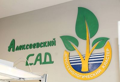 В анапской школе появился агротехнологический сад