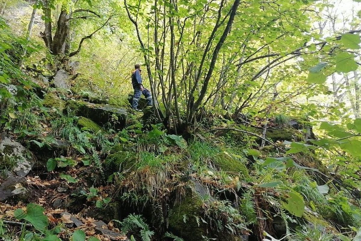 Прокуратура проверит спортшколу в Твери из-за несанкционированного похода детей и их наставников в горы под Сочи